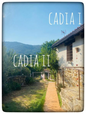 Las Casas de Cadia 1 y 2